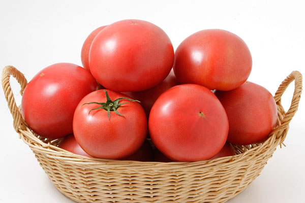 トマト (Tomato)