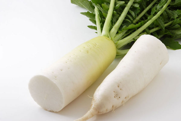 大根 (Radish)